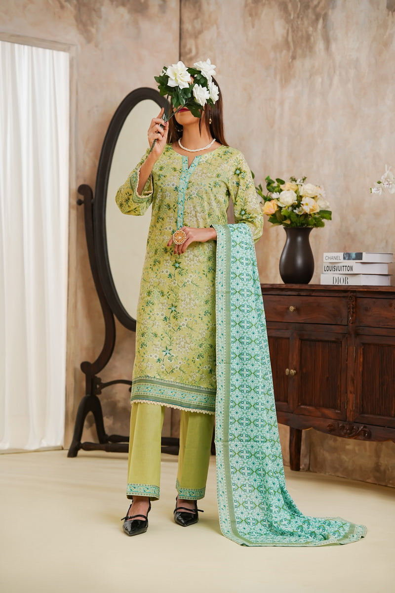 Daman Lawn D-828B