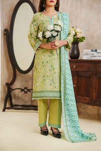 Daman Lawn D-828B