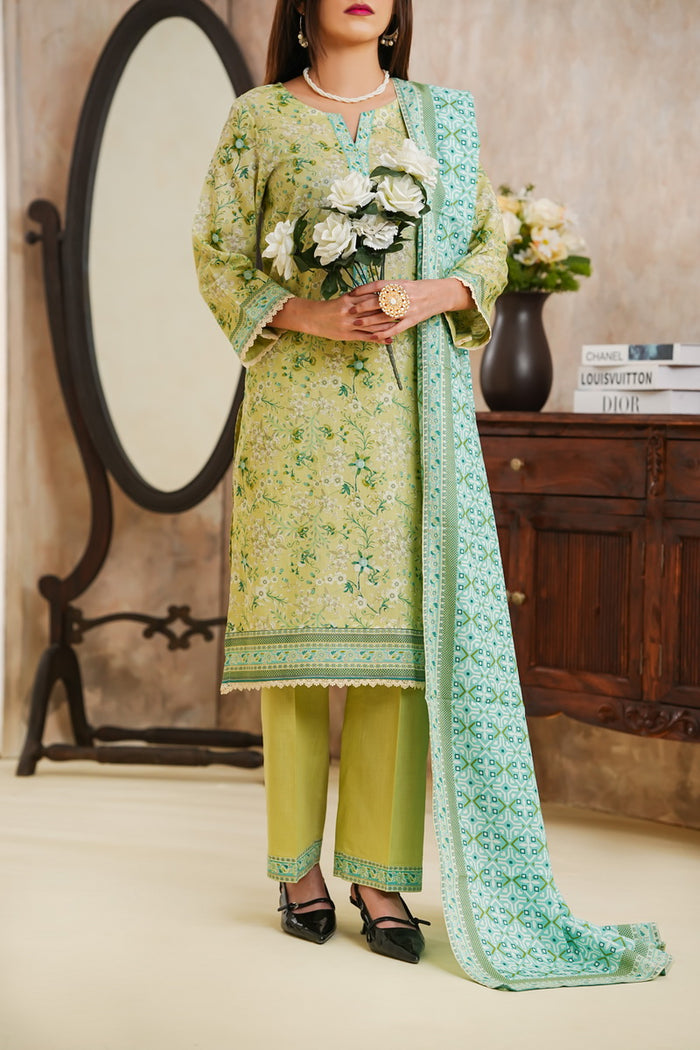 Daman Lawn D-828B