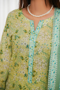 Daman Lawn D-828B