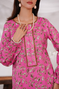 Aiza Momina Coords D-8216