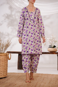 Aiza Momina Coords D-8150