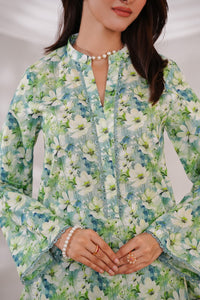 Aiza Momina Coords D-8218