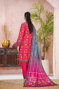 Daman Mid Summer D-2042