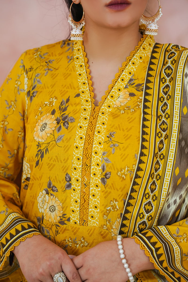 Daman Mid Summer D-2040