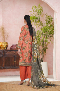 Daman Mid Summer D-2044