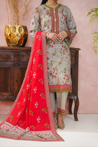 Daman Mid Summer D-2043