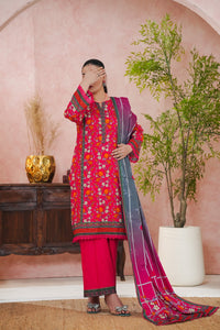 Daman Mid Summer D-2042