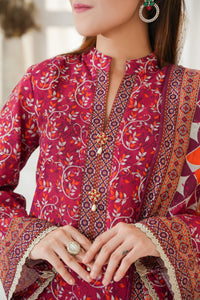Shahkar Print Khaddar D-026