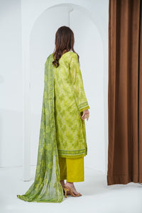 Shahkar Print D-834