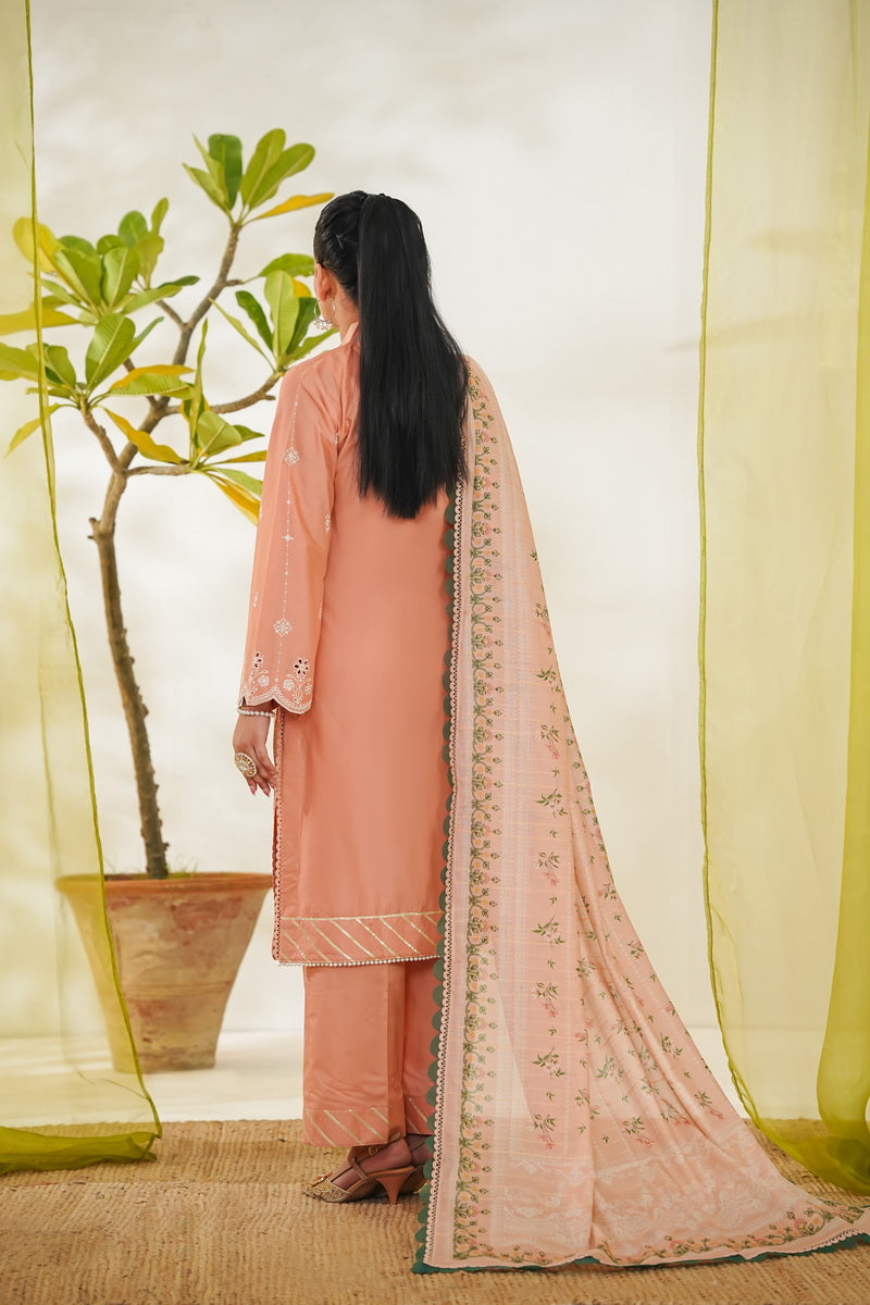 Anmol Embroidered D-087