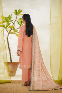 Anmol Embroidered D-087