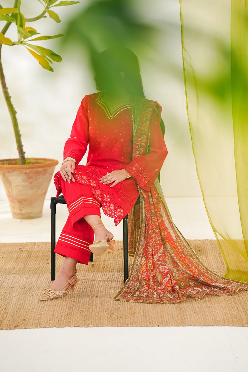 Anmol Embroidered D-085