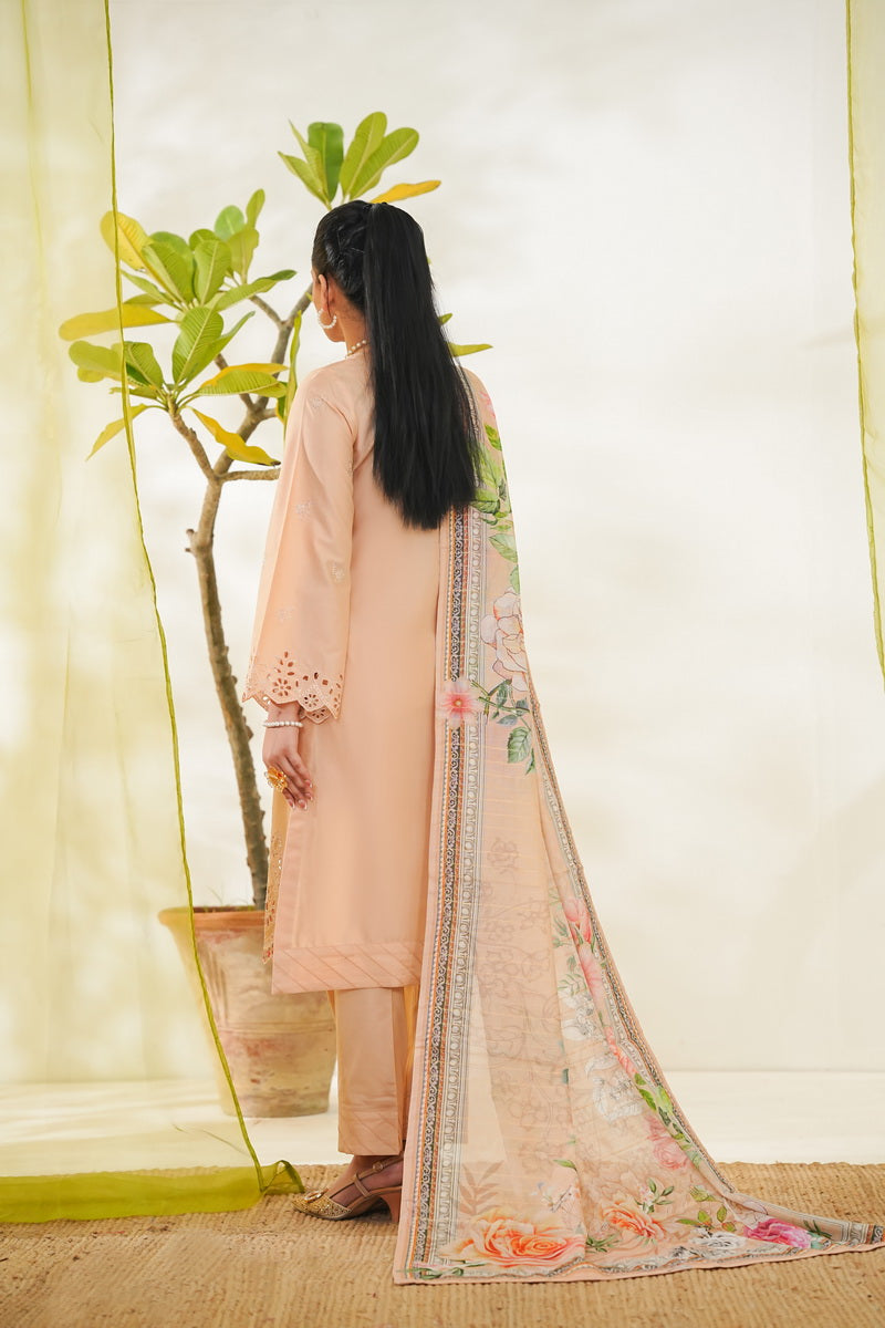 Anmol Embroidered D-084