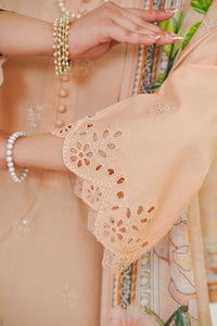 Anmol Embroidered D-084