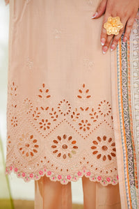 Anmol Embroidered D-084