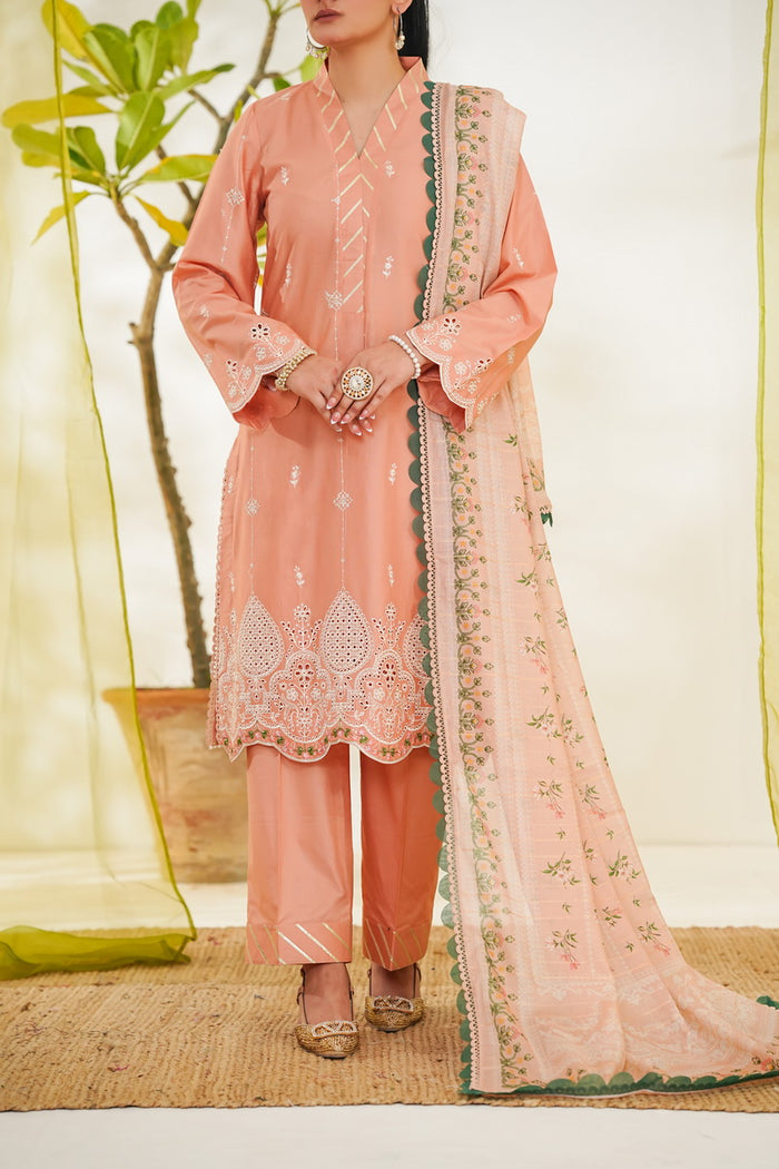 Anmol Embroidered D-087