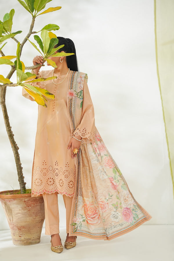 Anmol Embroidered D-084
