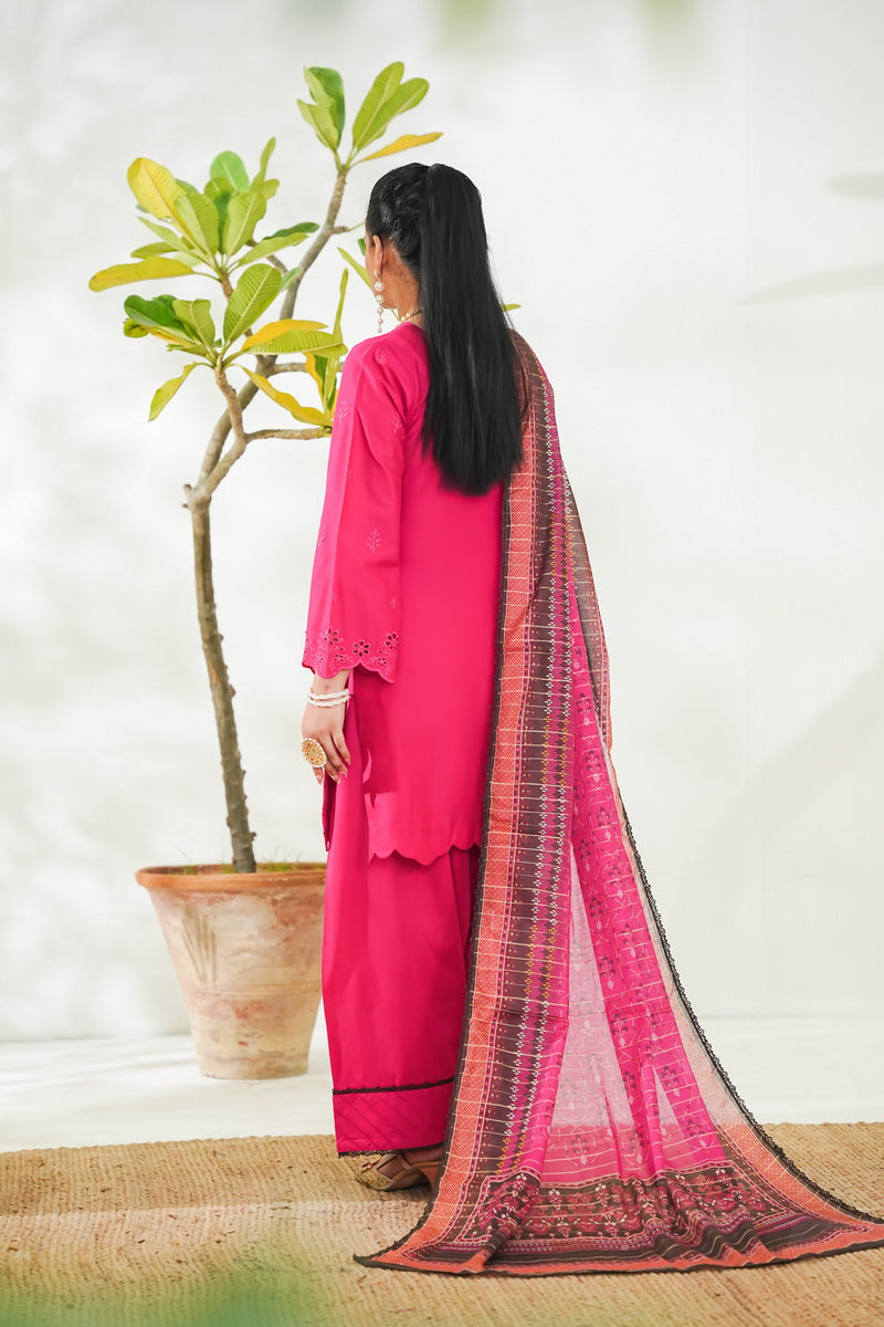 Anmol Embroidered D-088