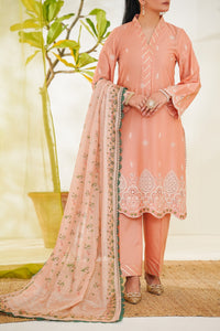 Anmol Embroidered D-087