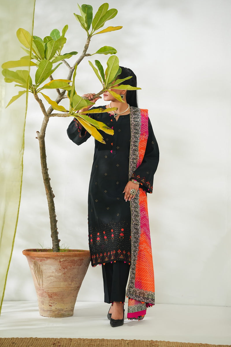 Anmol Embroidered D-086