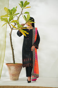 Anmol Embroidered D-086