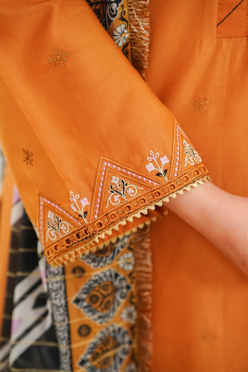 Anmol Embroidered D-091