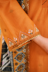 Anmol Embroidered D-091