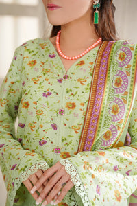 Dilkash Wrinkle Free Coll D-1103-B