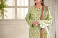 Dilkash Wrinkle Free Coll D-1103-B