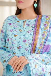 Dilkash Wrinkle Free Coll D-1103-C