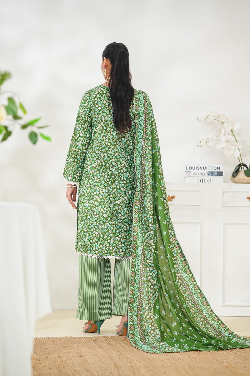 Dilkash Wrinkle Free D-1576-B