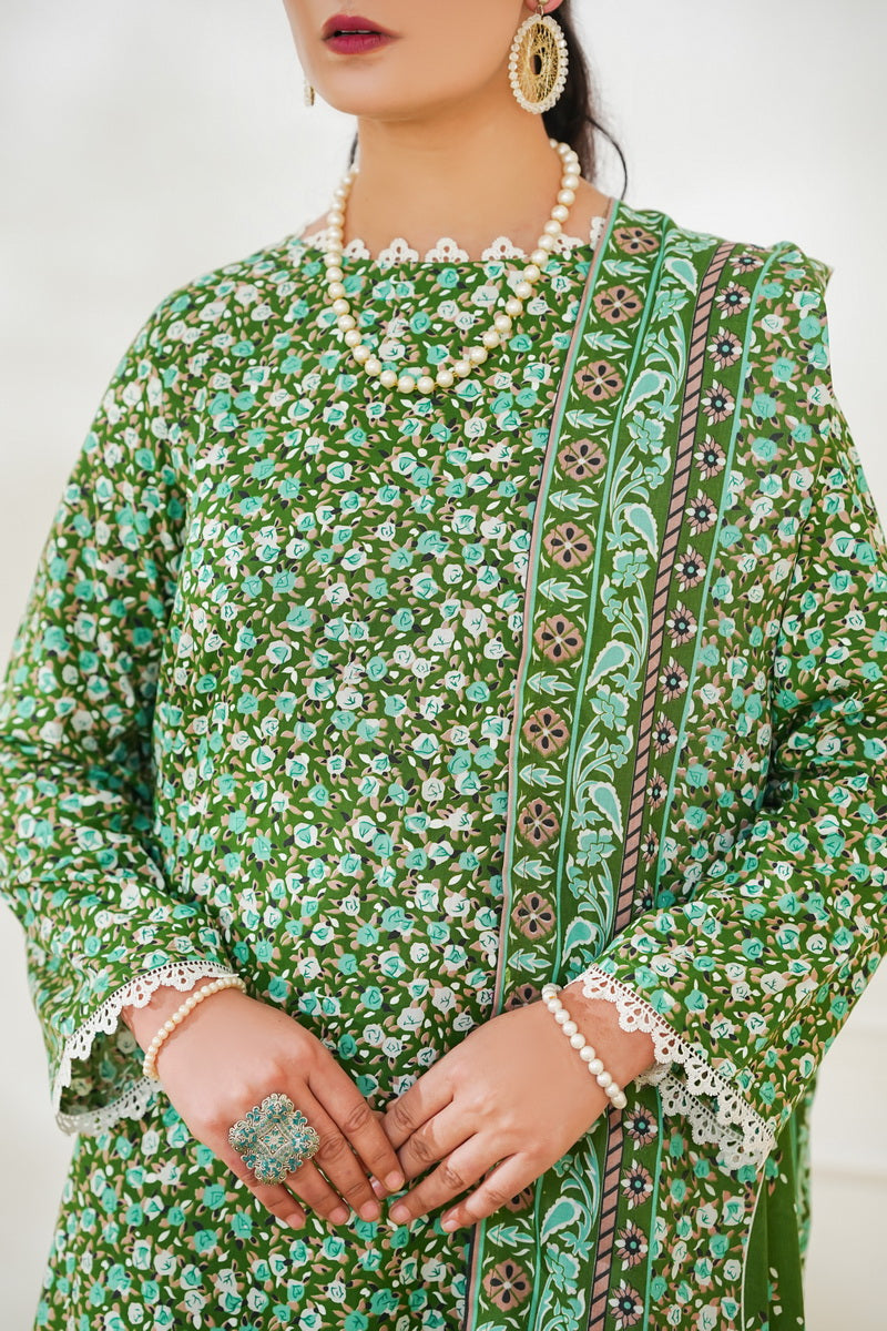 Dilkash Wrinkle Free D-1576-B