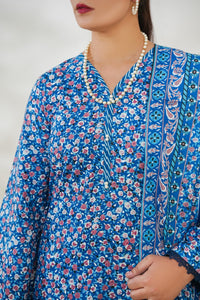 Dilkash Wrinkle Free D-1576-D