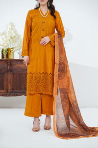 Anarkali Emb D-505