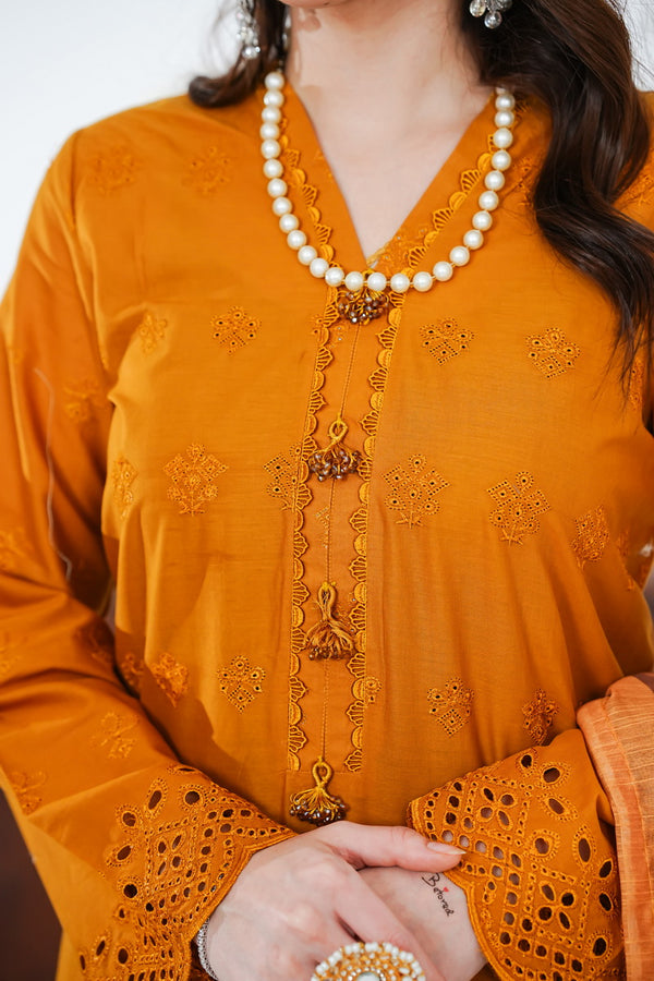 Anarkali Emb D-505