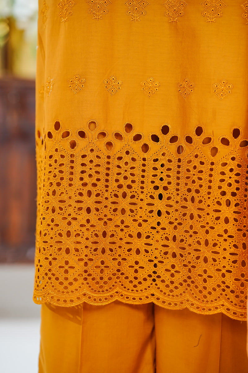 Anarkali Emb D-505