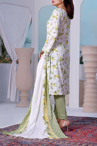 Dilkash Wrinkle Free Coll D-1013-B