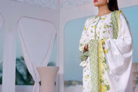 Dilkash Wrinkle Free Coll D-1013-B