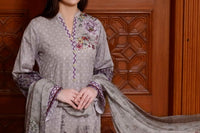 An ideal blend of traditional Schiffli silhouettes with intricate embroideries, perfect for the evening gatherings.